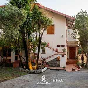Viale d'ingresso immerso nel verde del B&B Biagio 2